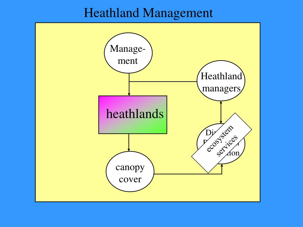 PPT Natural Resources modeling of heathlands targets & indicators