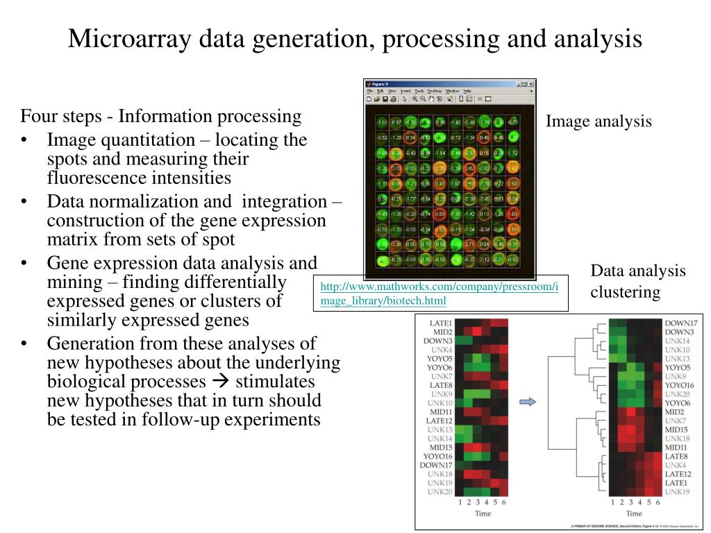 PPT Microarray Introduction PowerPoint Presentation, free download