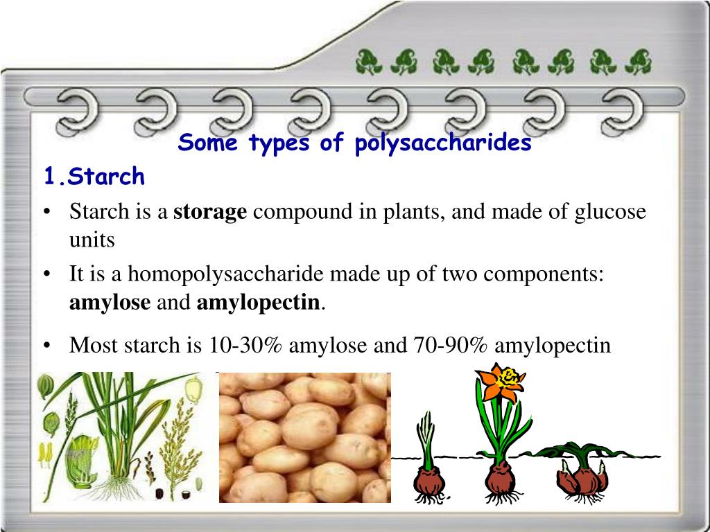 PPT Carbohydrates and Structural Analysis of Polysaccharides