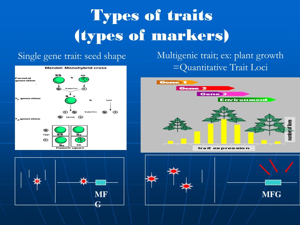 PPT MARKERS IN PLANT BREEDING PowerPoint Presentation, free