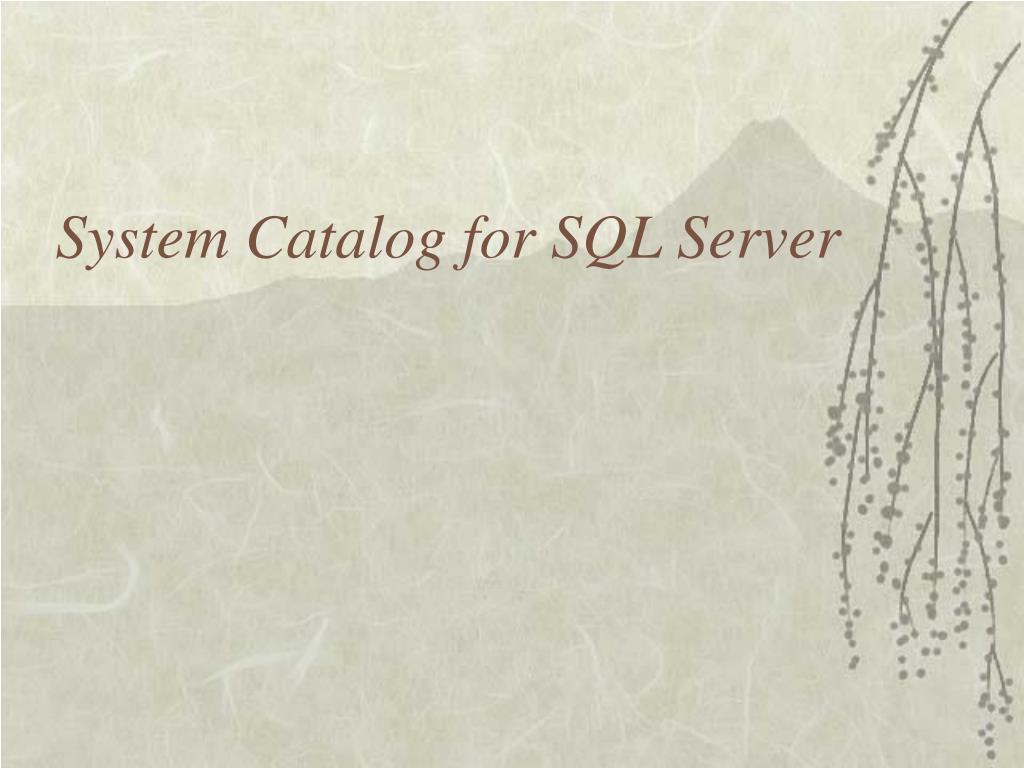 PPT System Catalog for SQL Server PowerPoint Presentation, free