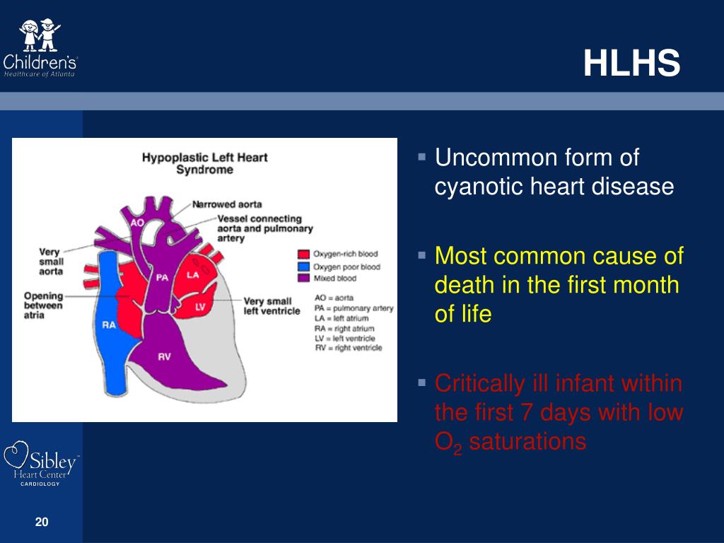 PPT Common Cardiac Emergencies PowerPoint Presentation, free download