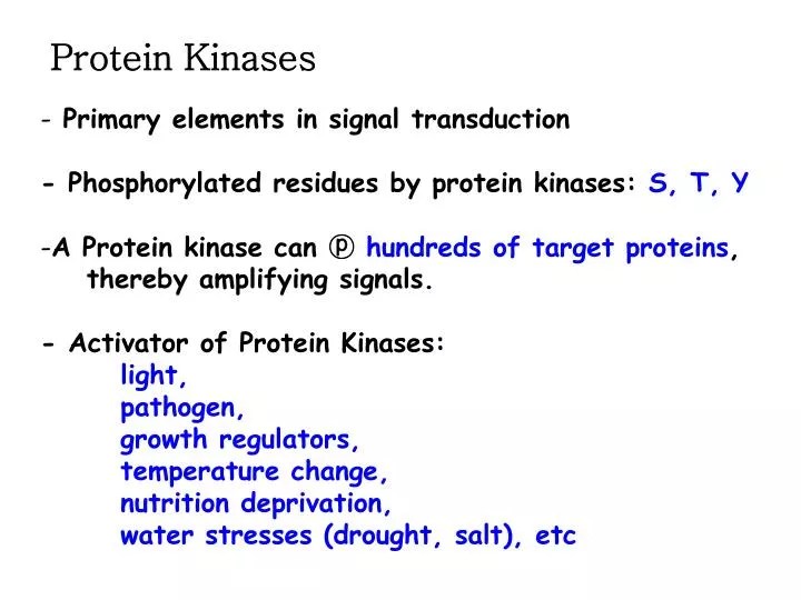 PPT Protein Kinases PowerPoint Presentation, free download ID4785362