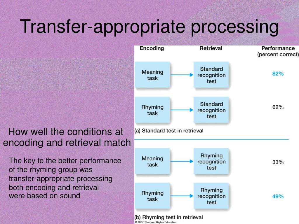 PPT How does information store in LTM ? PowerPoint