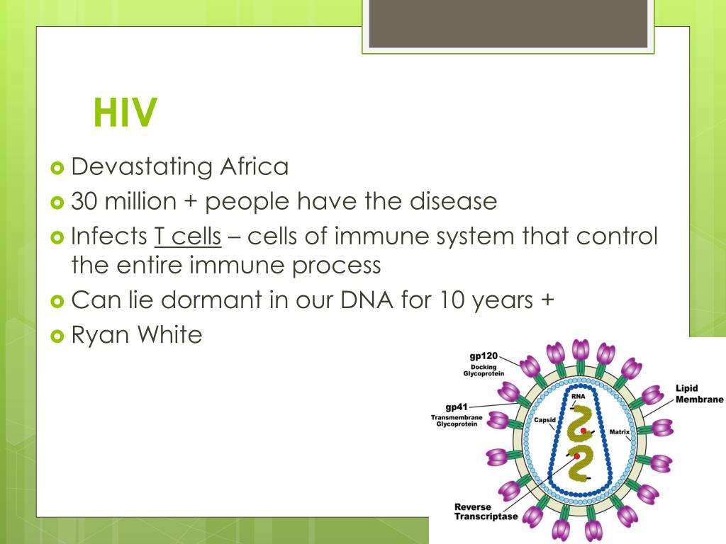 PPT The Body Systems PowerPoint Presentation, free download ID4788233