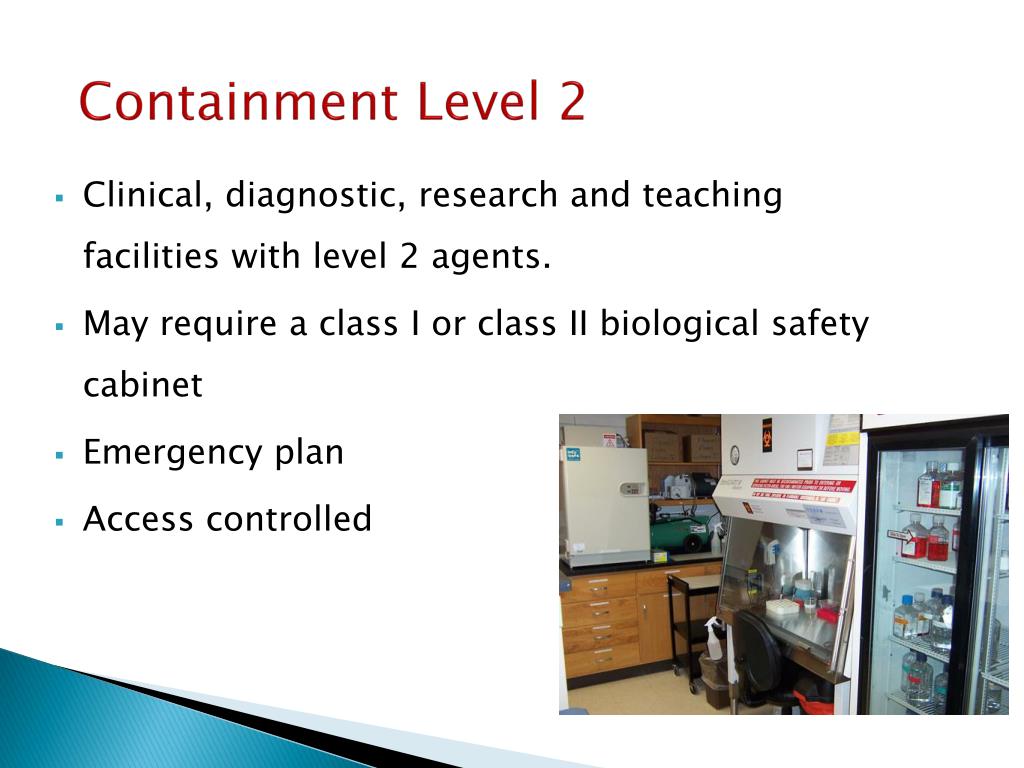 PPT BIOSAFETY TRAINING PowerPoint Presentation, free download ID