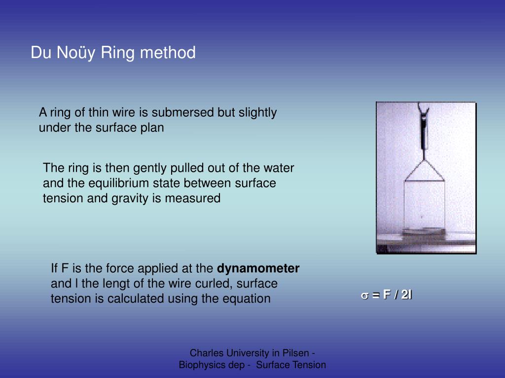 PPT Surface Tension PowerPoint Presentation, free download ID4795871
