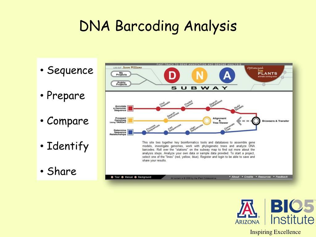 PPT DNA Barcoding PowerPoint Presentation, free download ID4797975