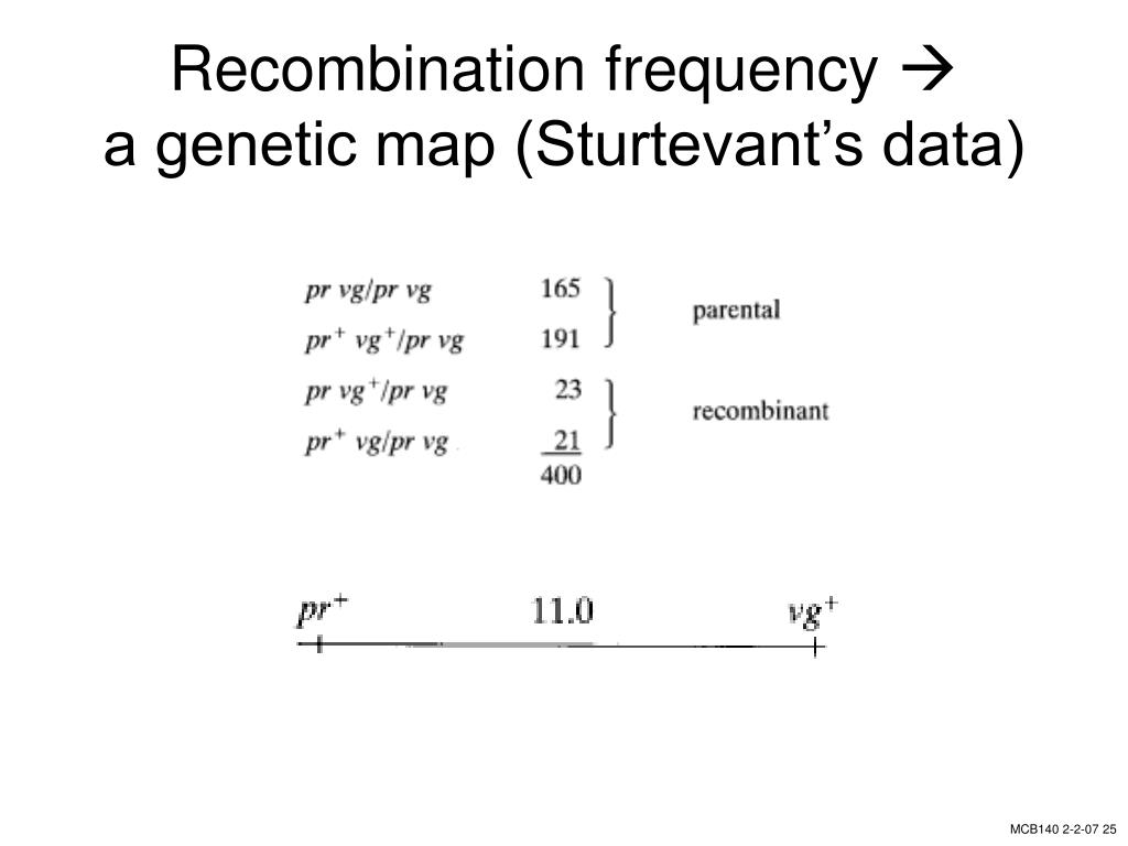 PPT “Coupling” and “repulsion” PowerPoint Presentation, free download