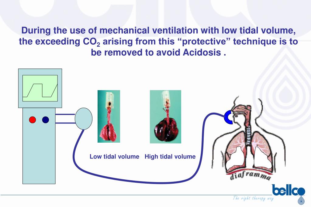 PPT ABYLCAP CARBON DIOXIDE REMOVAL ECCO 2 R PowerPoint Presentation