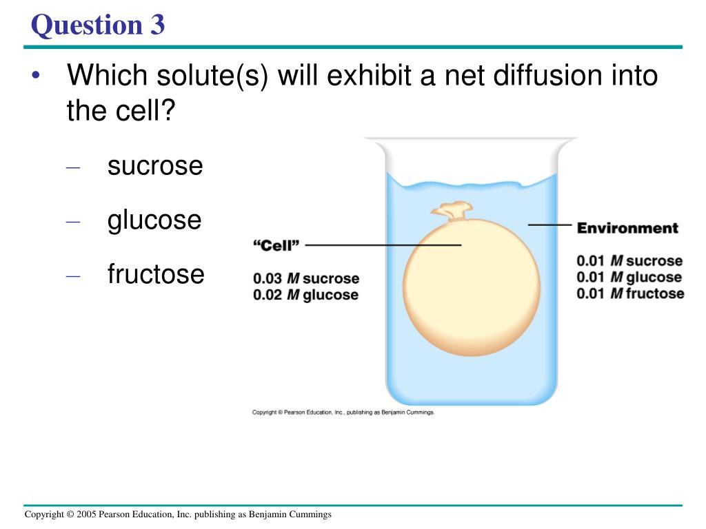 PPT BIO 107 Lab 4 Cell membranes, Osmosis & Diffusion PowerPoint