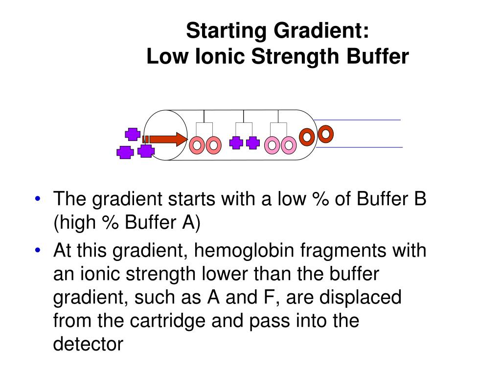 PPT Hemoglobin Electrophoresis PowerPoint Presentation, free download