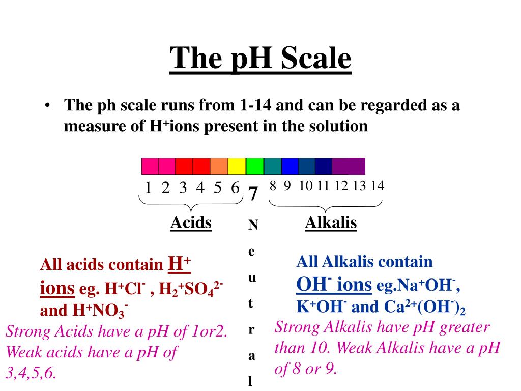 PPT The pH Scale PowerPoint Presentation, free download ID4831292