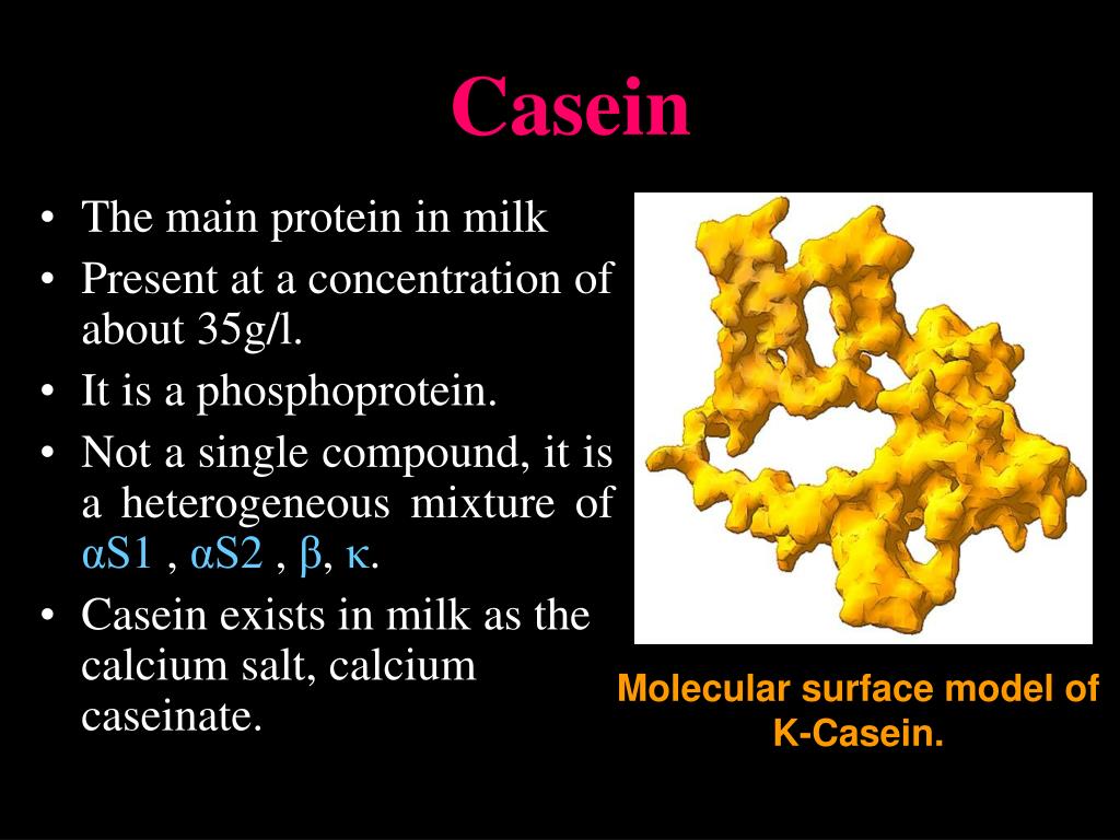 PPT Isolation of Casein from Milk PowerPoint Presentation, free
