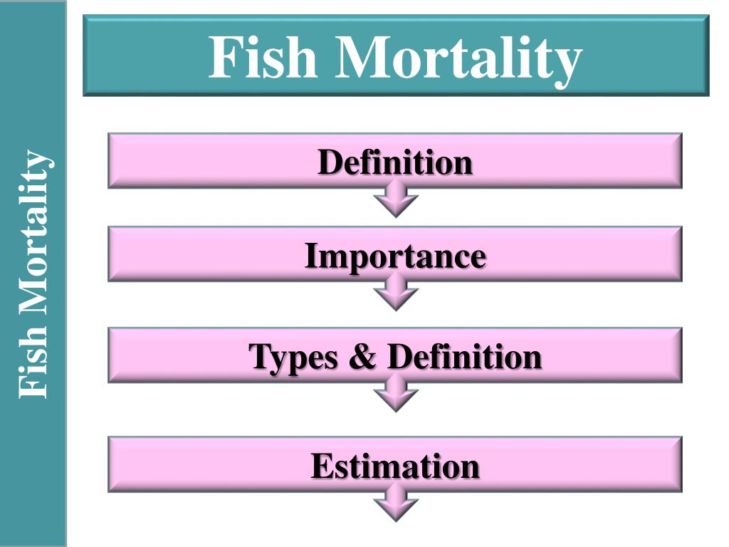 PPT Fish Mortality & Exploitation Ratio PowerPoint Presentation ID