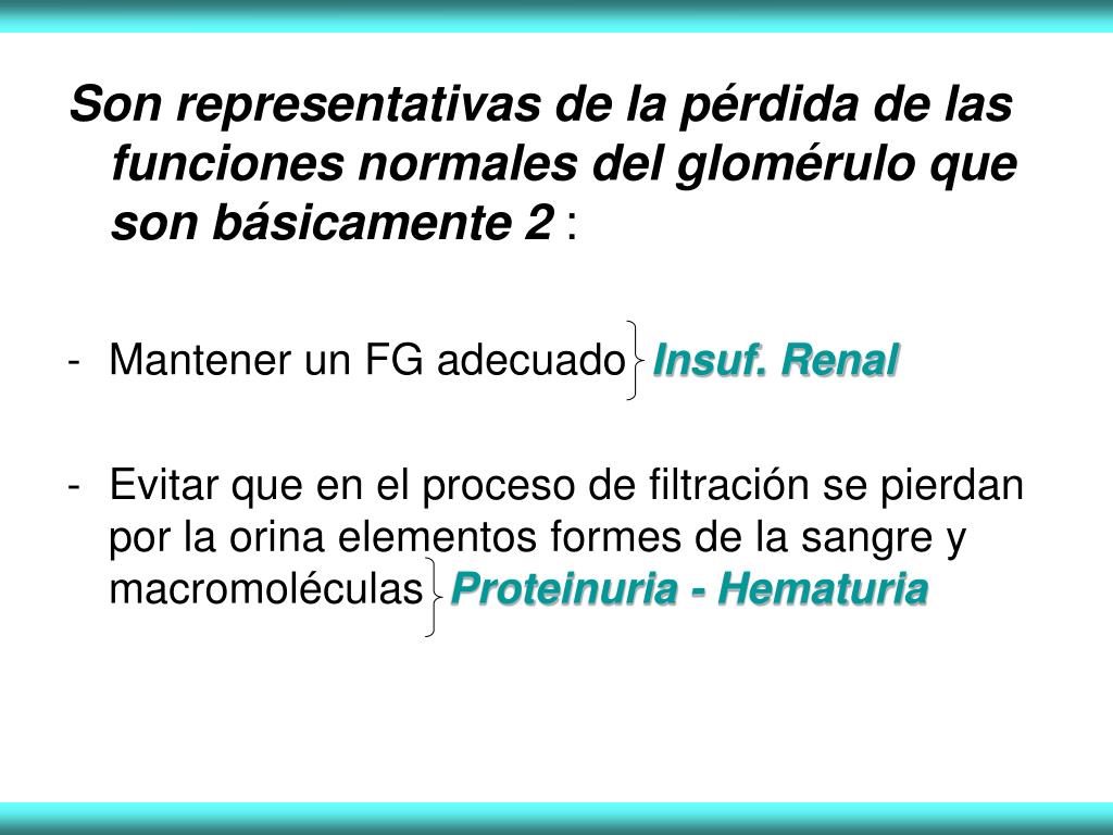 PPT Proteinuria y Hematuria PowerPoint Presentation, free download