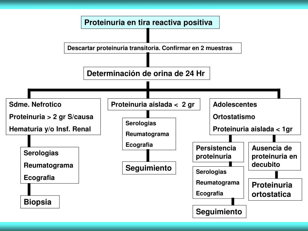 PPT Proteinuria y Hematuria PowerPoint Presentation, free download