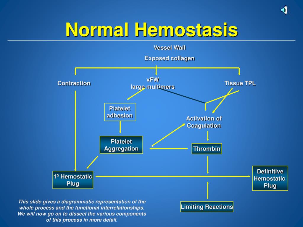 PPT HEMOSTASIS PowerPoint Presentation, free download ID4848216