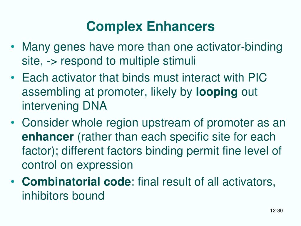 PPT Chapt 12 Transcription Activators in Eukaryotes PowerPoint