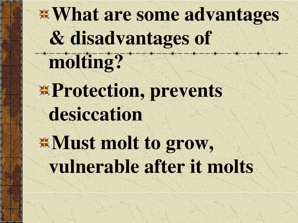 PPT Ch. 36 Arthropods PowerPoint Presentation ID4851173