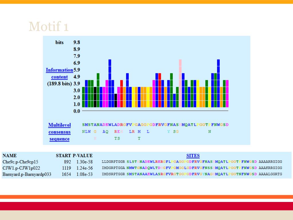 PPT Tape Measure Protein (TMP) PowerPoint Presentation, free download