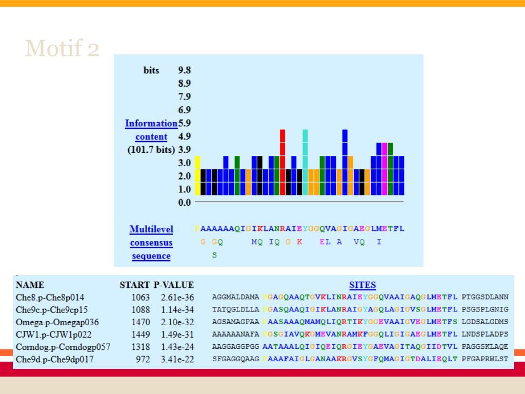 PPT Tape Measure Protein (TMP) PowerPoint Presentation, free download