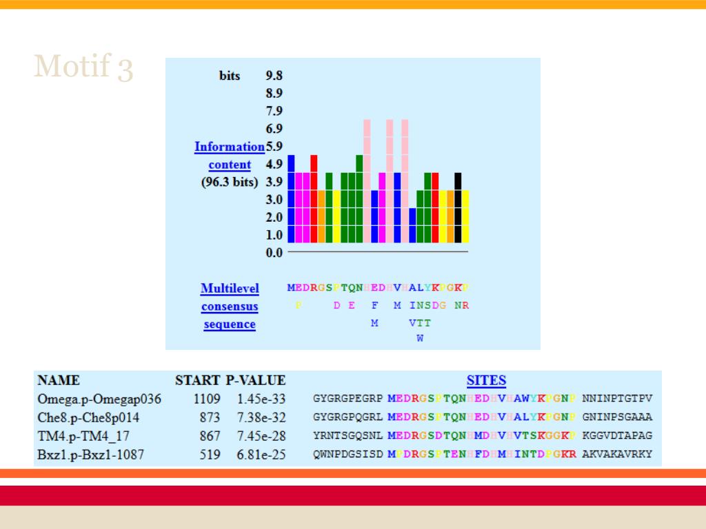 PPT Tape Measure Protein (TMP) PowerPoint Presentation, free download