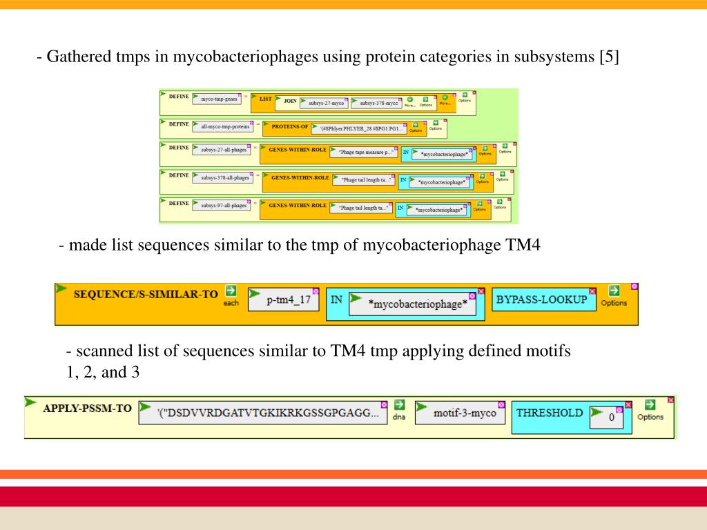 PPT Tape Measure Protein (TMP) PowerPoint Presentation, free download