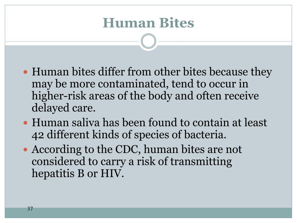 PPT Bites and Stings PowerPoint Presentation, free download ID4852659