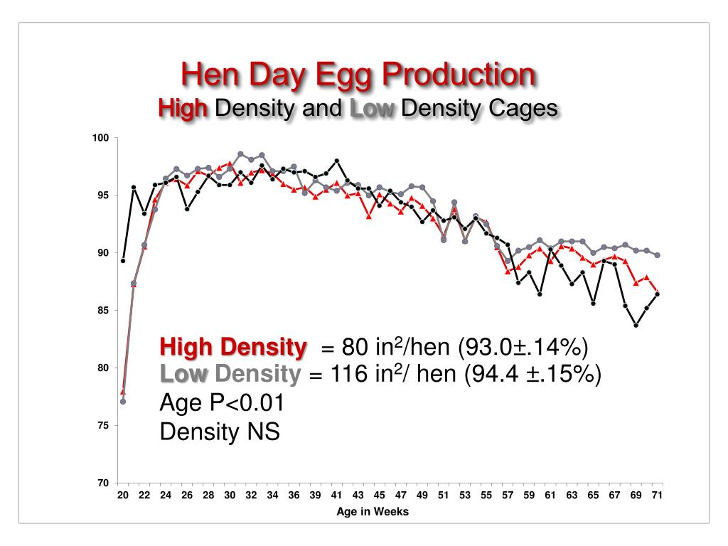 PPT Enriched Cages PowerPoint Presentation, free download ID4853815