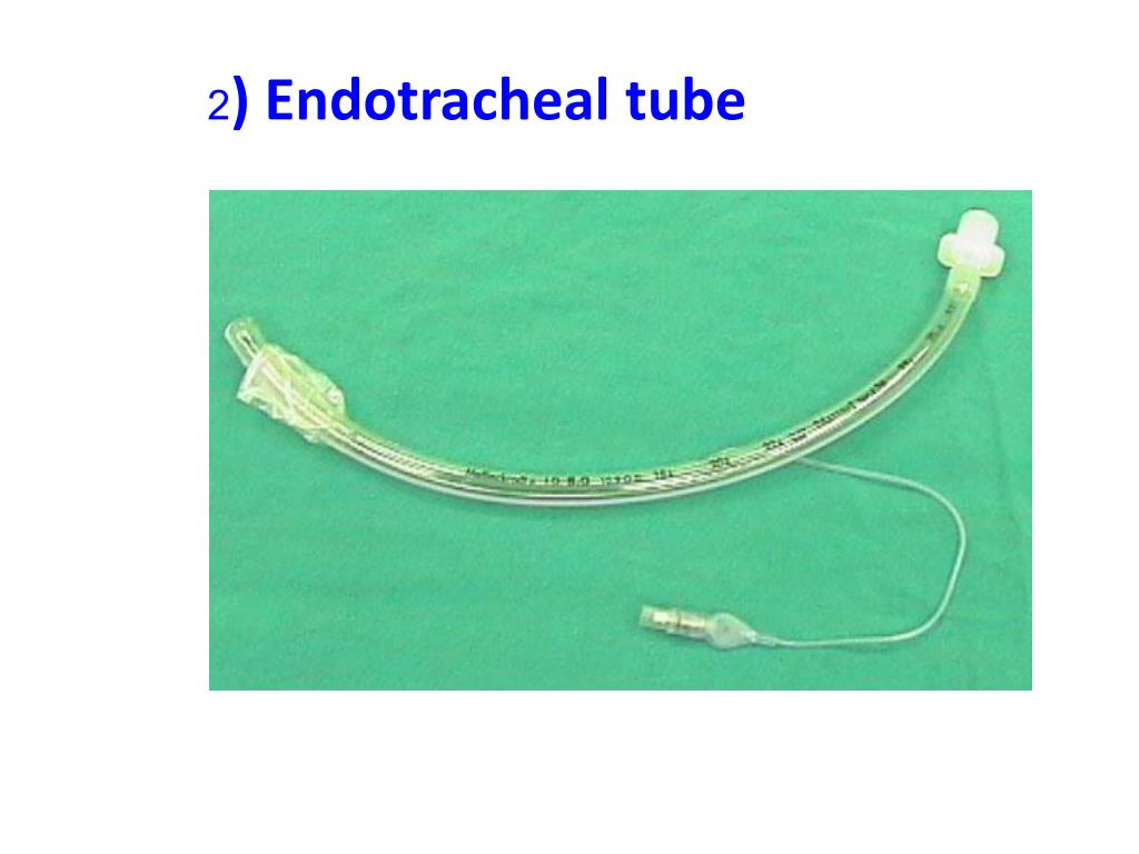 PPT ENDOTRACHEAL INTUBATION PowerPoint Presentation, free download