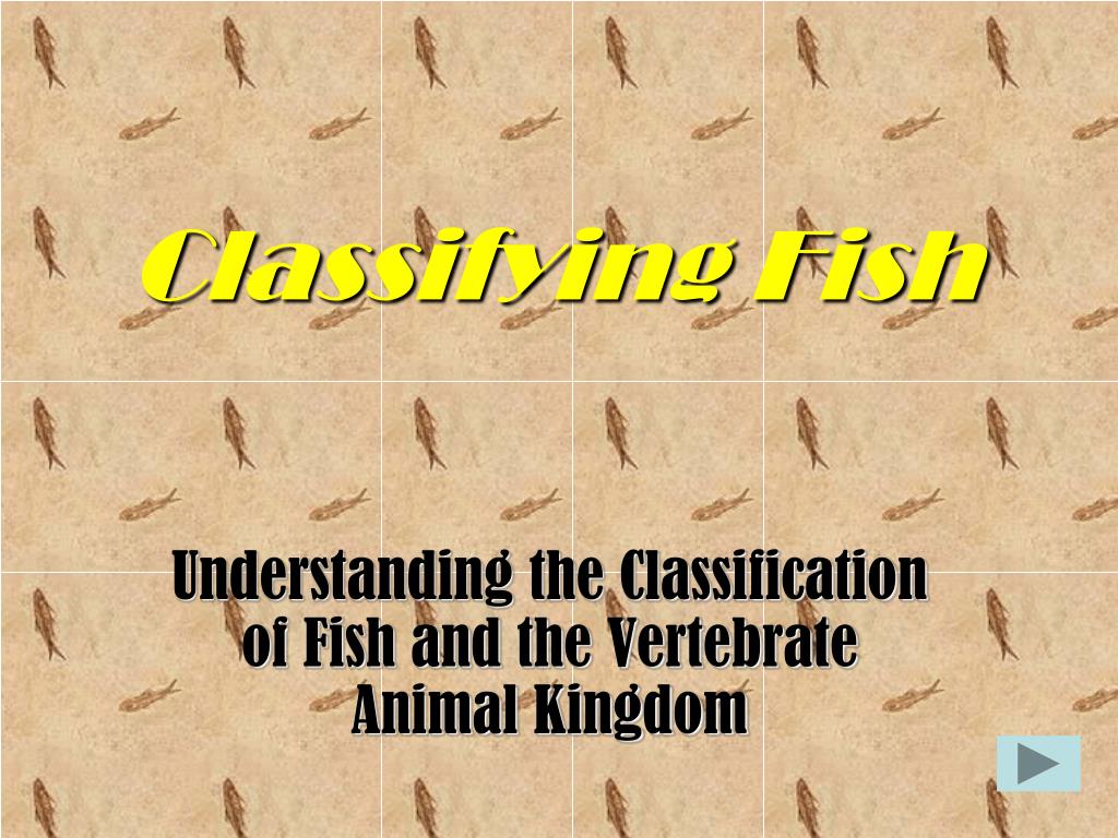PPT Classifying Fish PowerPoint Presentation, free download ID4862992