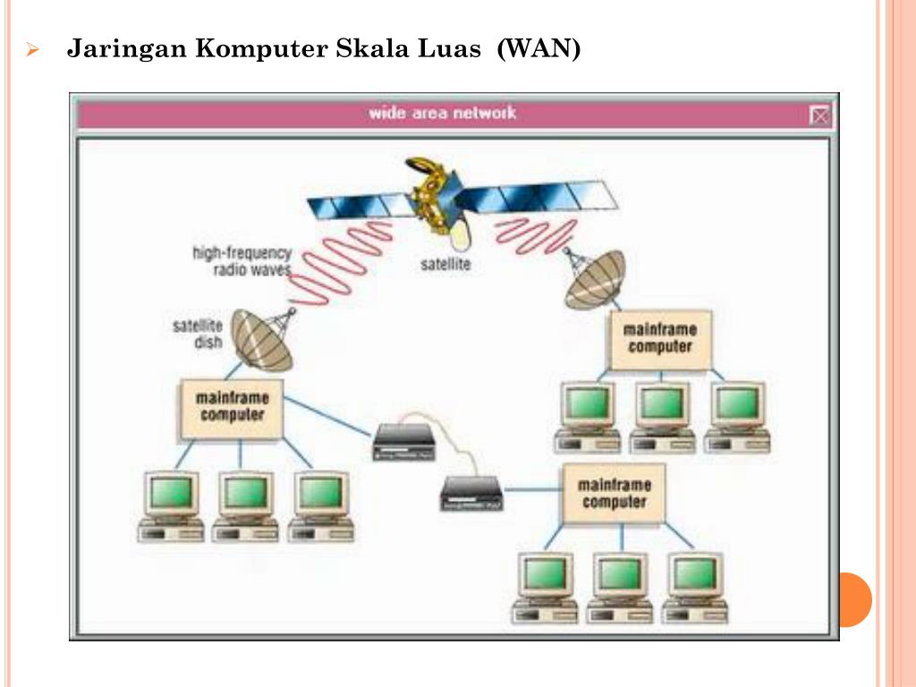 PPT Jenis Jaringan Berdasarkan Luas Area PowerPoint Presentation