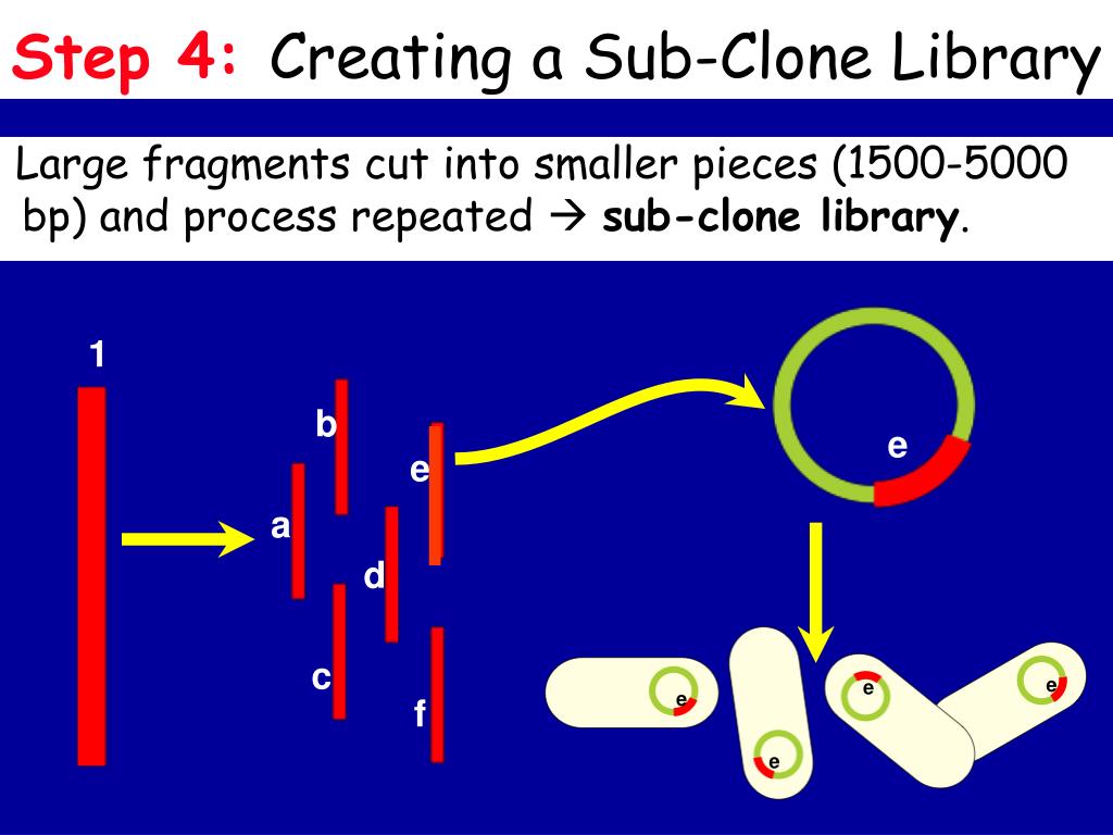 PPT Genome Analysis PowerPoint Presentation, free download ID4872912
