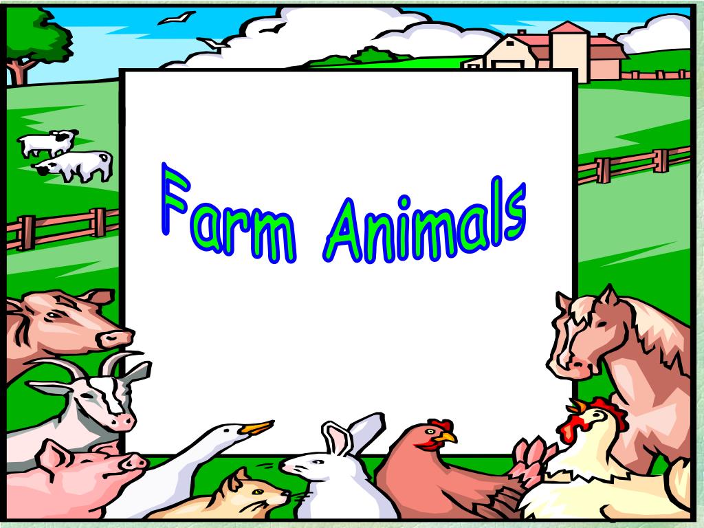 PPT Farm Animals PowerPoint Presentation, free download ID4873010