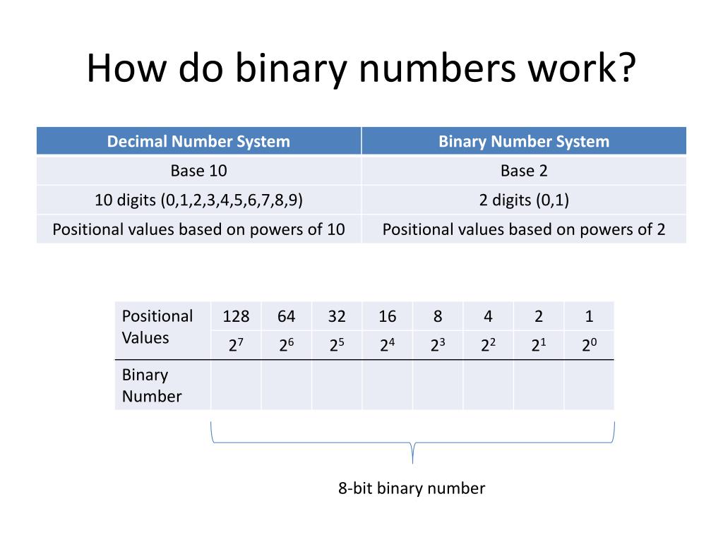 PPT Bits and Bytes PowerPoint Presentation, free download ID4873246