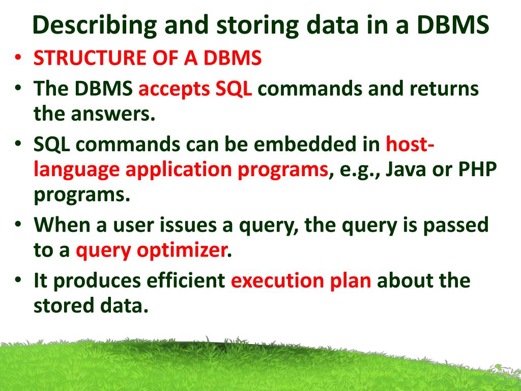 PPT Describing and storing data in a DBMS PowerPoint Presentation