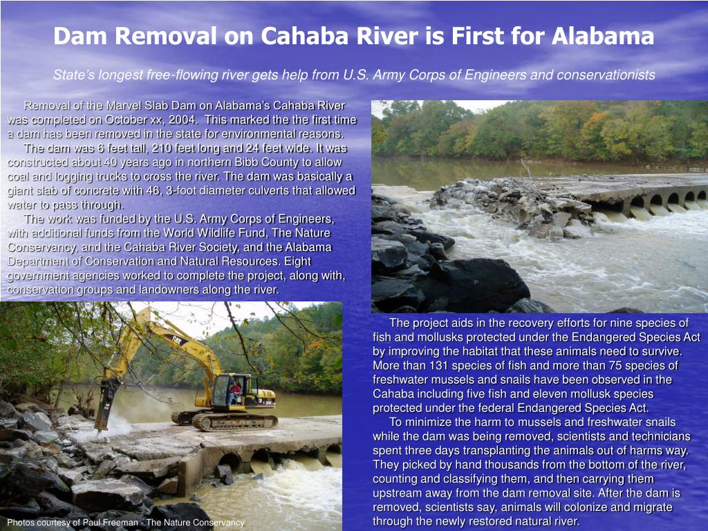 PPT Removal of the Marvel Slab reopens section of the Cahaba River