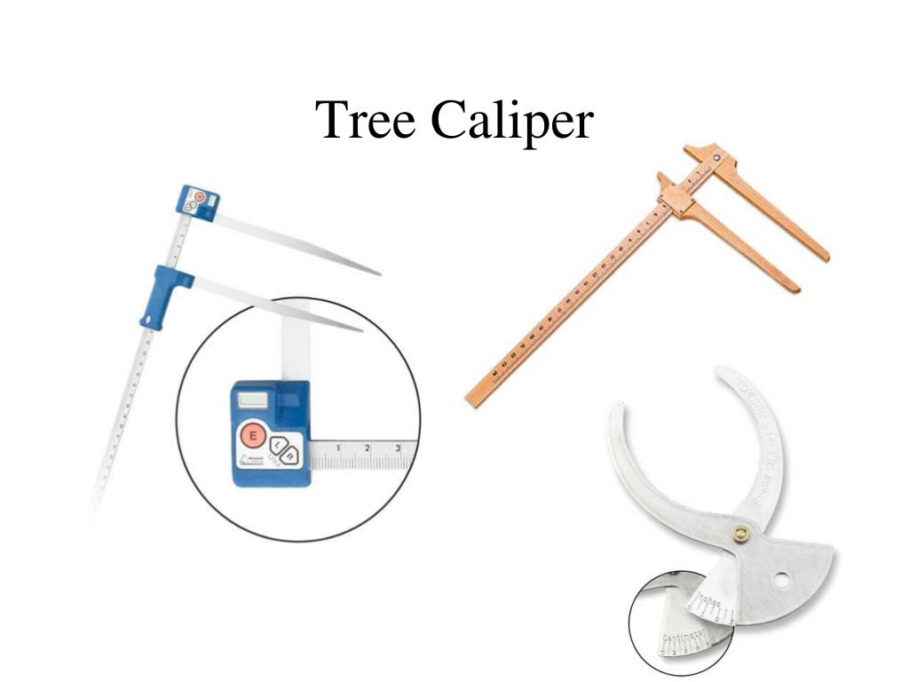 PPT Chainsaw PowerPoint Presentation, free download ID4880216