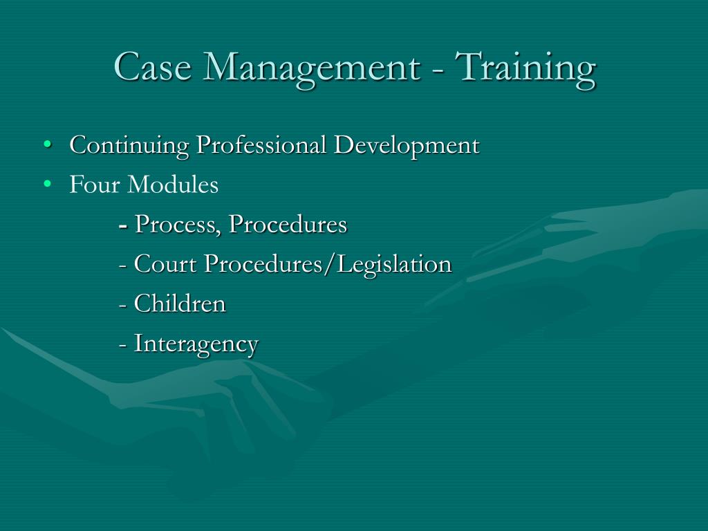 PPT Youth Crime Case Management System Dublin Metropolitan North