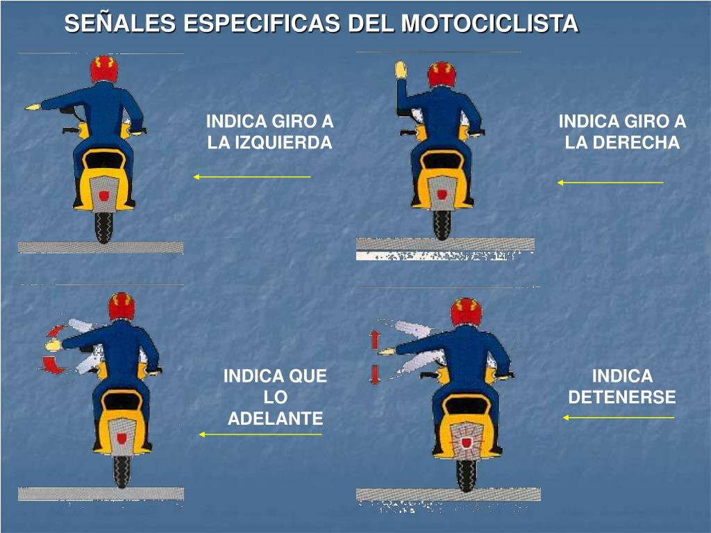 PPT ARTICULOS 36, 37, 38, 39, 40, 41, 42, Y 43 PowerPoint