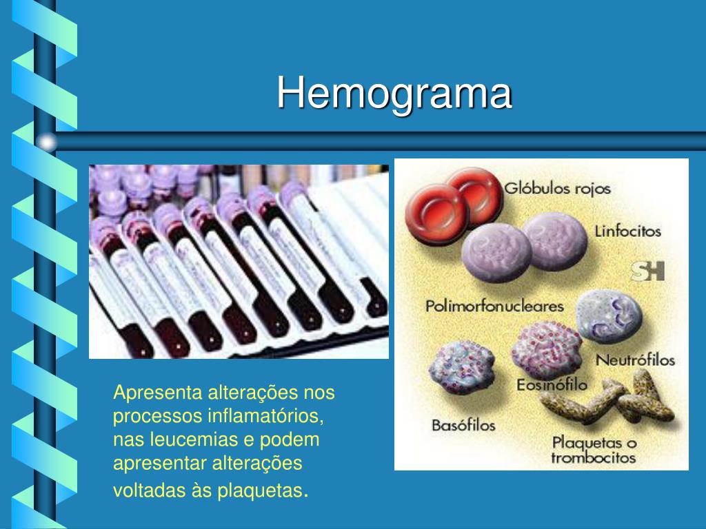 PPT INTERPRETAÇÃO CLÍNICA DO HEMOGRAMA PowerPoint Presentation, free