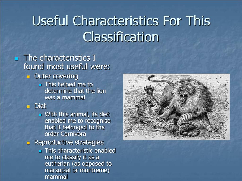 PPT Classification of “The Lion” PowerPoint Presentation, free