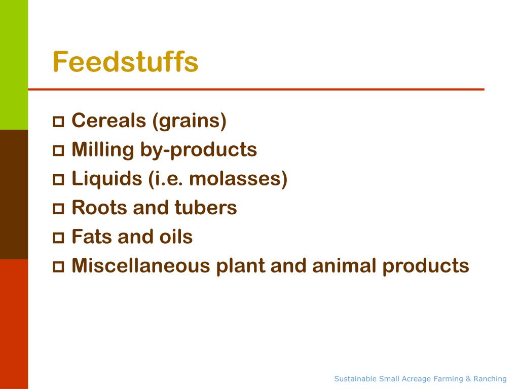 PPT Animal Production PowerPoint Presentation, free download ID4903422