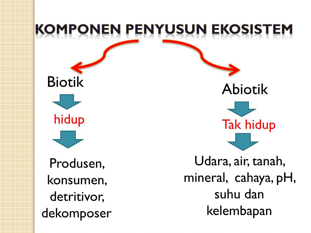 PPT Ekosistem PowerPoint Presentation, free download ID4907224