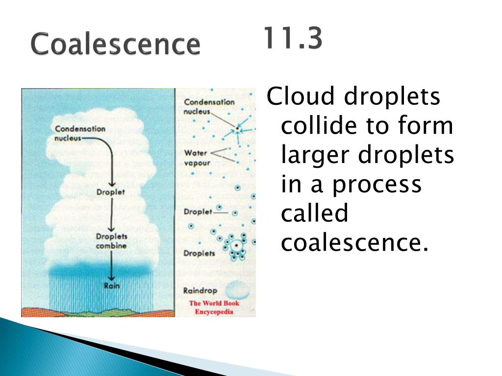 PPT The Atmosphere and Meteorology PowerPoint Presentation, free