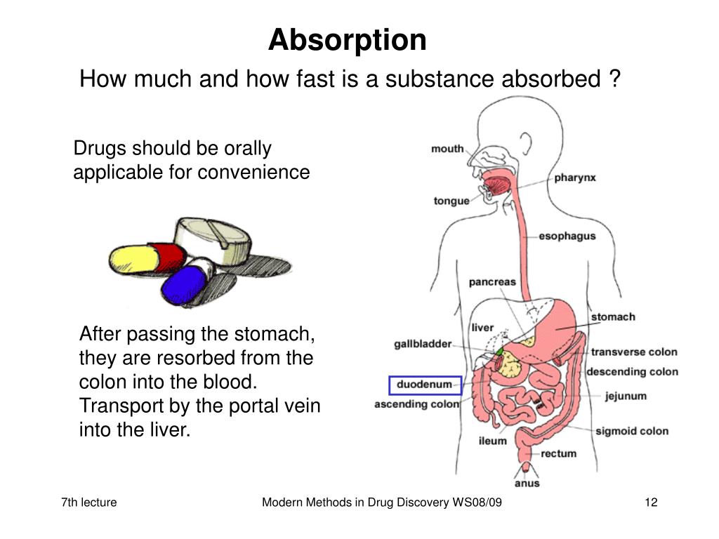 PPT Flow of information in a drug discovery pipeline PowerPoint