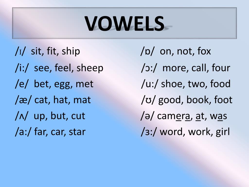 PPT TRANSCRIPTION PowerPoint Presentation, free download