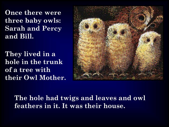 PPT Once there were three baby owls Sarah and Percy and Bill. PowerPoint Presentation ID