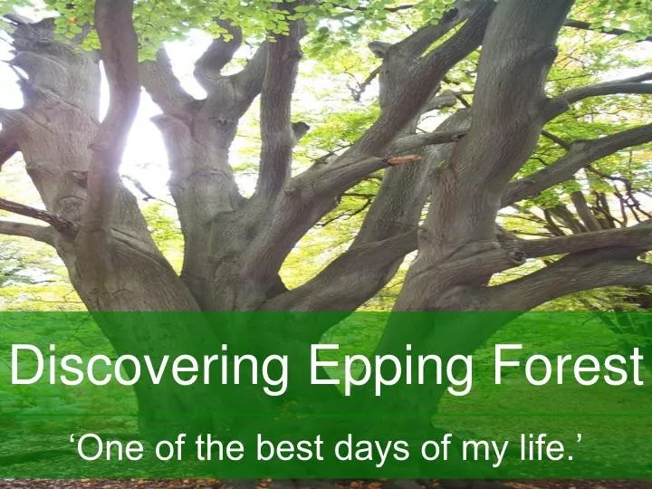 PPT Discovering Epping Forest PowerPoint Presentation, free download